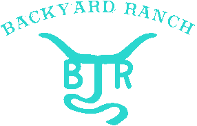 Logo with turquoise longhorn and letters BJR beneath.